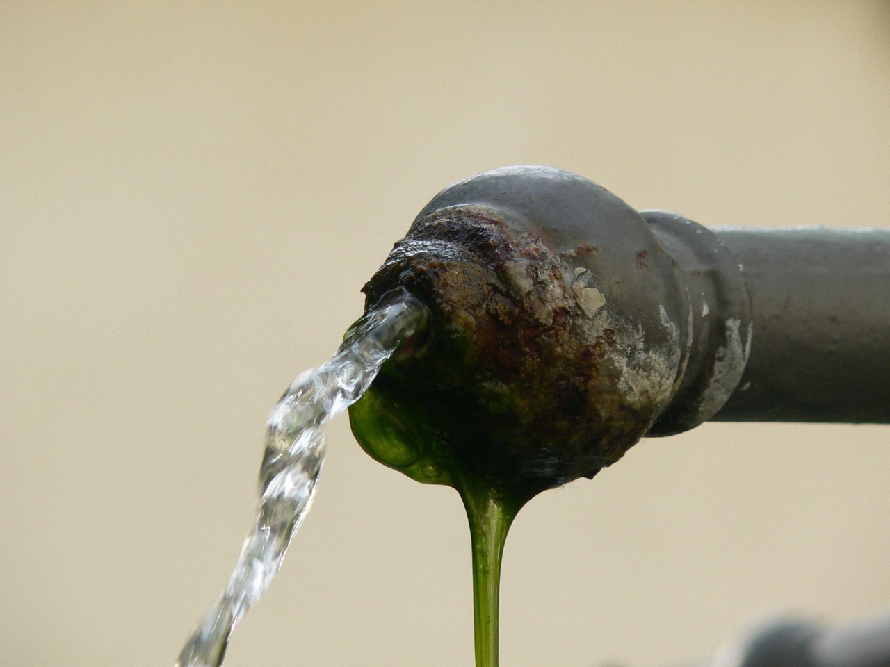 Czym charakteryzują się naturalne procesy oczyszczania wody?